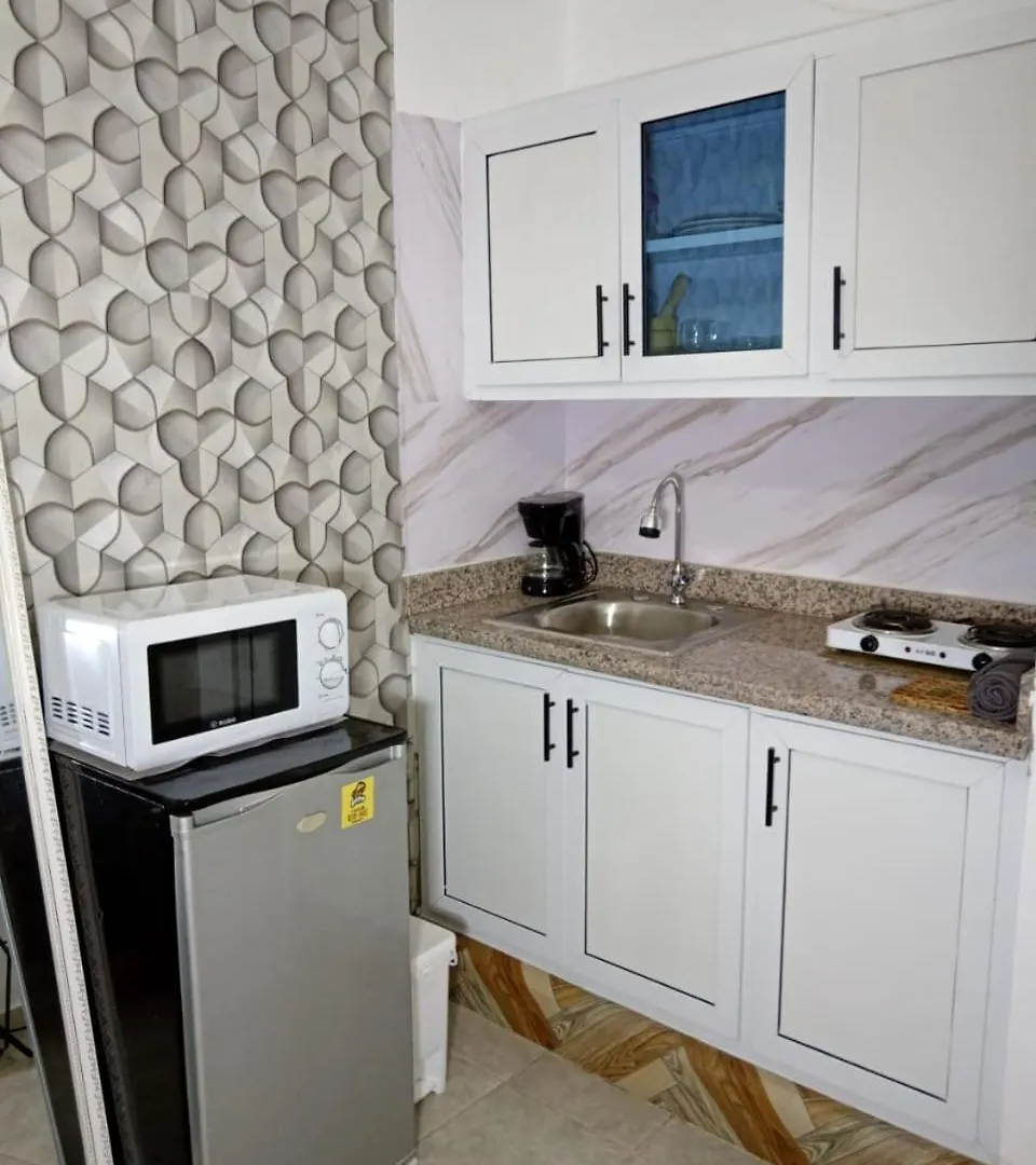 Apartamentos De 1 2 Y 3 Habitaciones Santiago De Los Caballeros Apartment